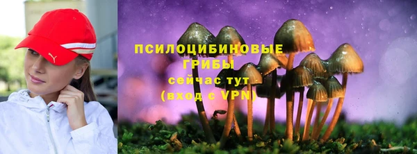 ешки Верея